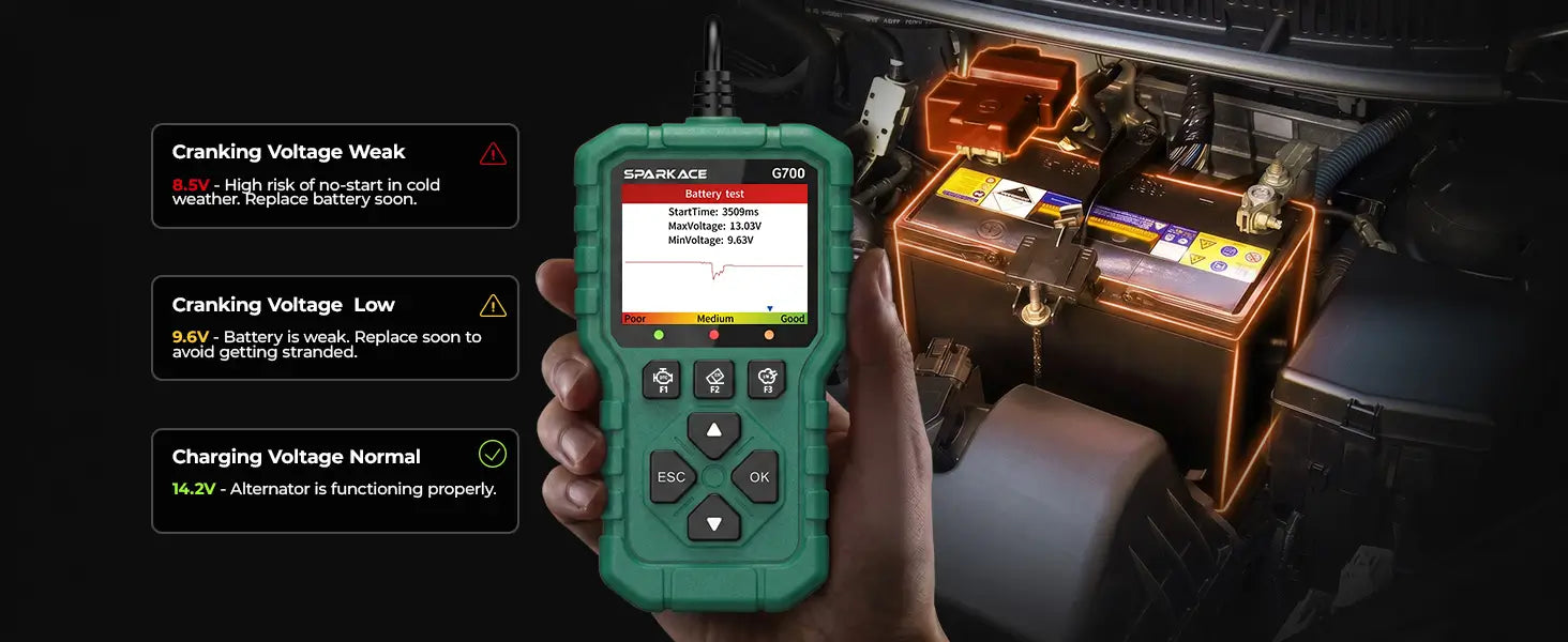 Oxygen Sensor Test